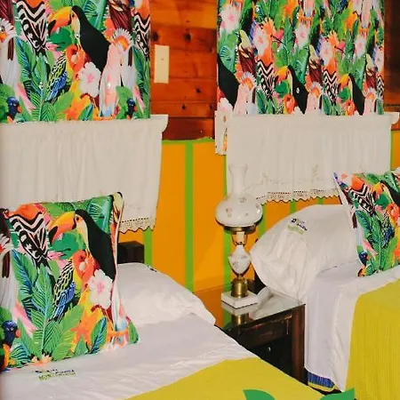Hotel Tibouchina Filandia Exterior photo