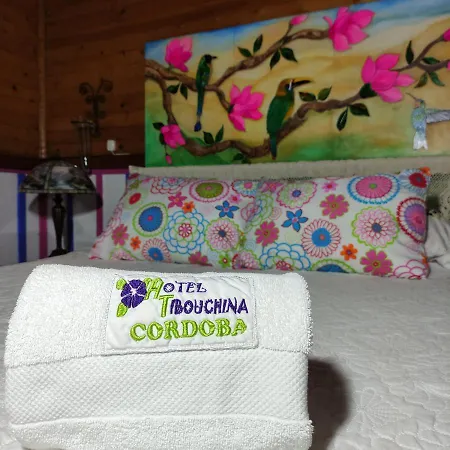 Hotel Tibouchina Filandia Exterior photo